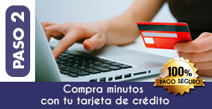 Paso 2 Pago Tarot Visa Online