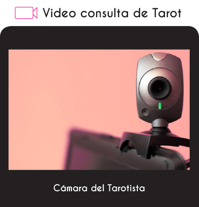 Imagen video consulta